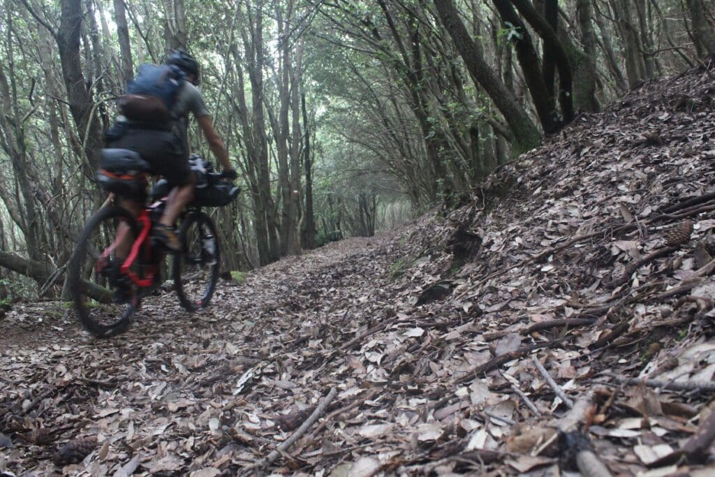 fernando cintra pedalando em trilha de mountain bike na liguria com pesta