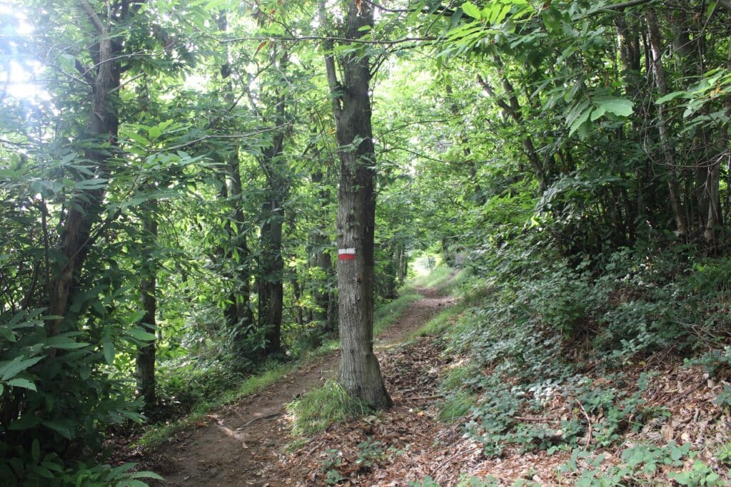 trilha de mountain bike na liguria